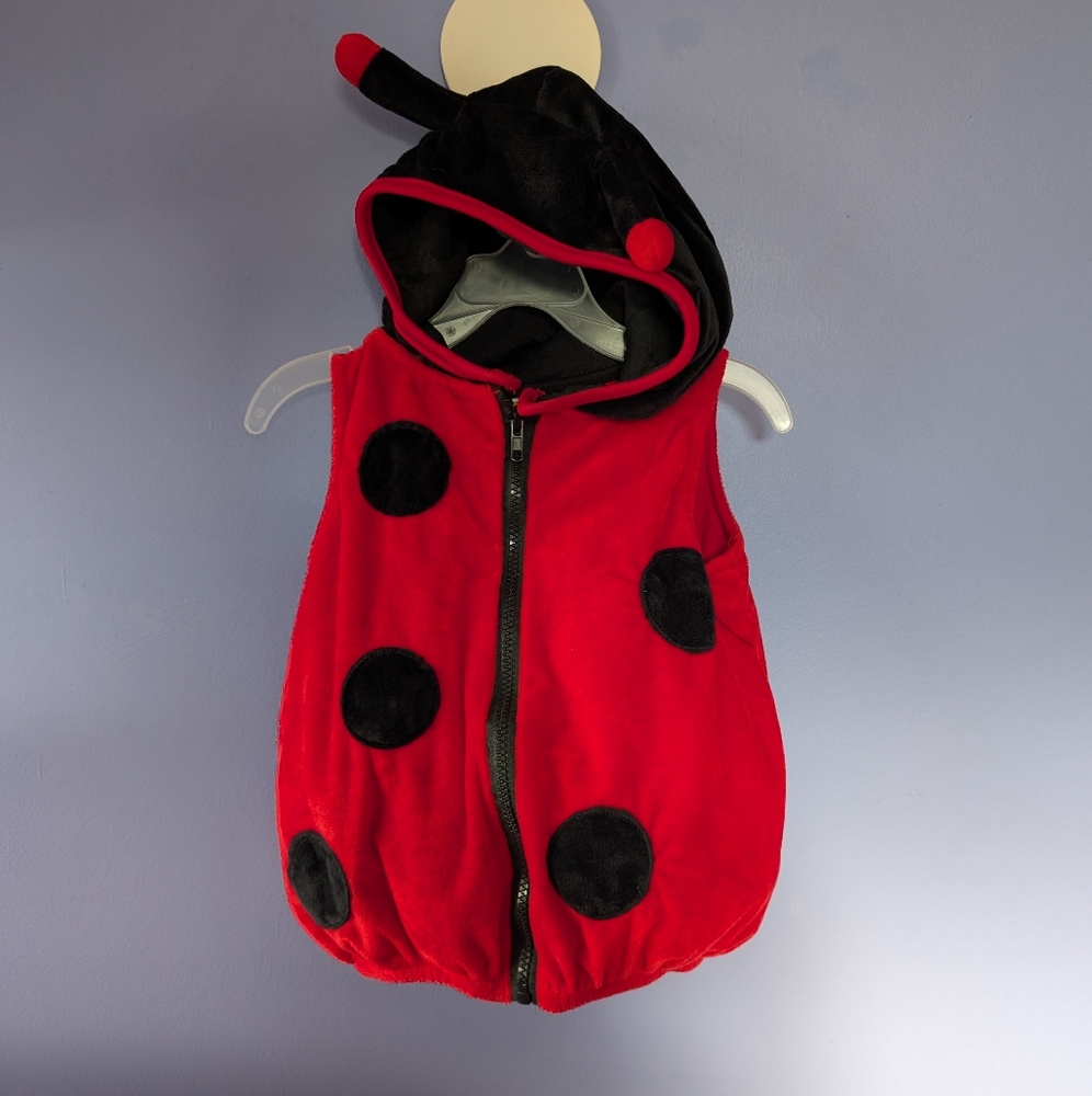 Ladybug Costume